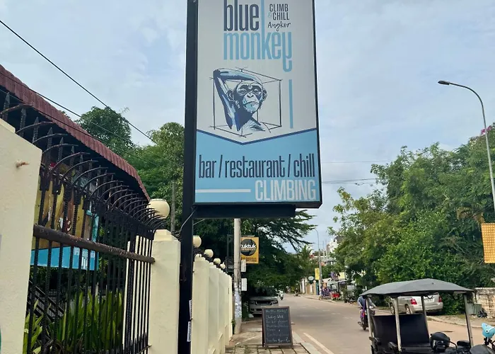 Blue Monkey - Bouldering *
