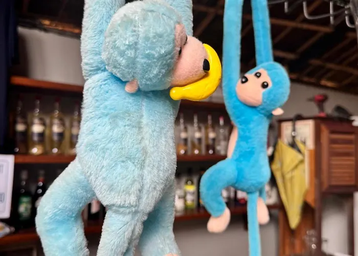Хостел Blue Monkey - Bouldering *